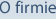O firmie