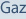 Gaz